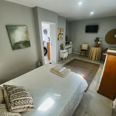 En-suite Bedroom And Garage In Center Porto